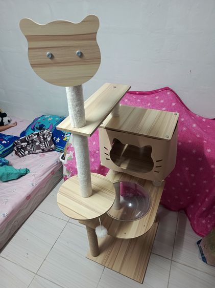 คอนโดแมว 6ชั่น ดูสินค้าตามภาพเลย รูปที่ 9