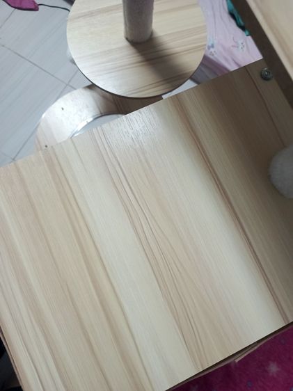 คอนโดแมว 6ชั่น ดูสินค้าตามภาพเลย รูปที่ 6