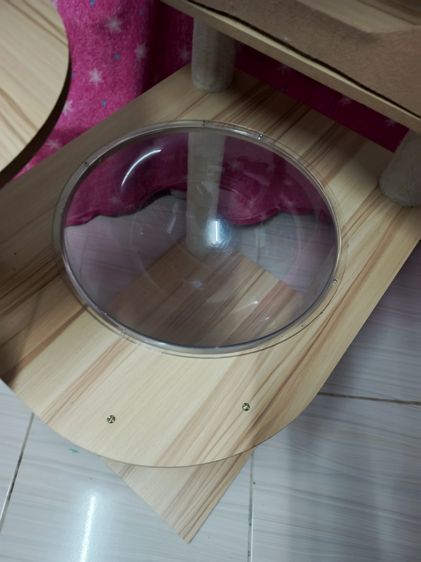 คอนโดแมว 6ชั่น ดูสินค้าตามภาพเลย รูปที่ 4