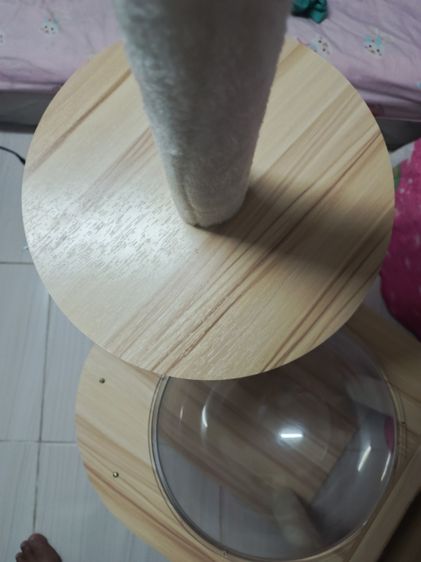 คอนโดแมว 6ชั่น ดูสินค้าตามภาพเลย รูปที่ 5