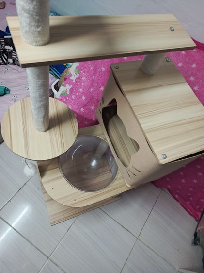 คอนโดแมว 6ชั่น ดูสินค้าตามภาพเลย รูปที่ 7