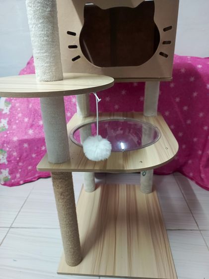 คอนโดแมว 6ชั่น ดูสินค้าตามภาพเลย รูปที่ 8