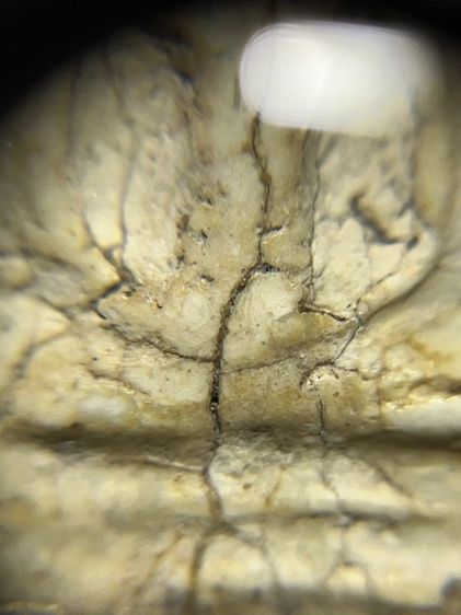 สมเด็จบางขุนพรหม รูปที่ 9