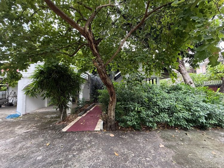 ใช่ ขายที่ดินเสนานิคมซอย 17 ตรวละ 89,000 รูปที่ 2