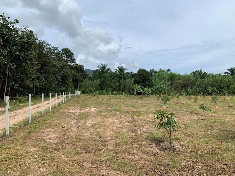 สวนเพชรบุรี