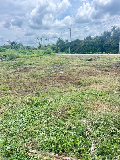 ใช่ ที่ดิน 2.5 ไร่ ที่สวย ทำเลดี โฉนด รูปที่ 4