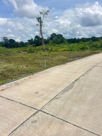 ที่ดิน 2.5 ไร่ ที่สวย ทำเลดี โฉนด