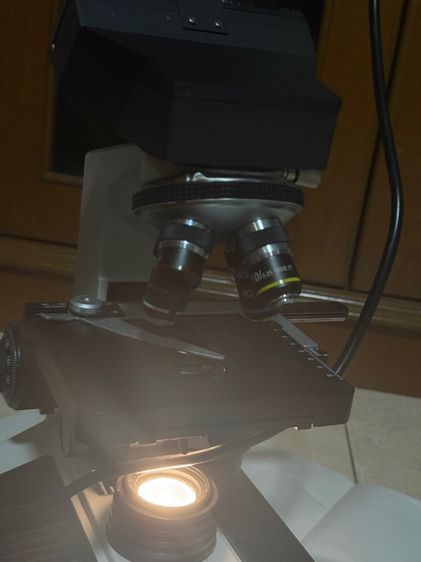 กล้องจุลทรรศน์ microscope รูปที่ 10
