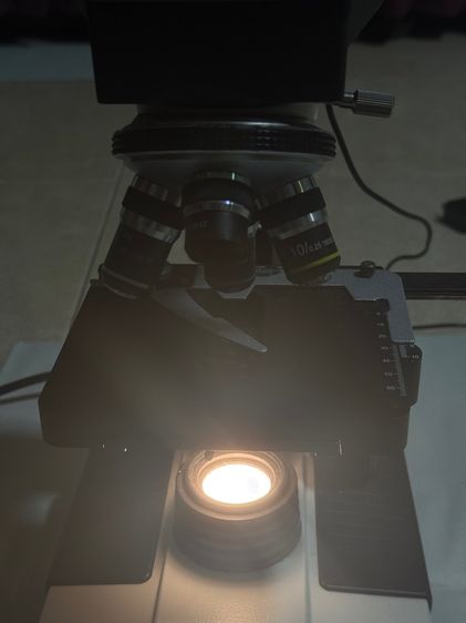 กล้องจุลทรรศน์ microscope รูปที่ 4