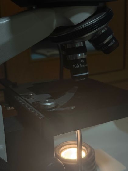กล้องจุลทรรศน์ microscope รูปที่ 6
