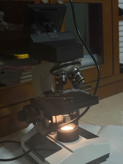 กล้องจุลทรรศน์ microscope รูปที่ 9