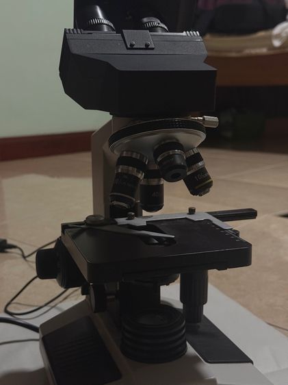 กล้องจุลทรรศน์ microscope