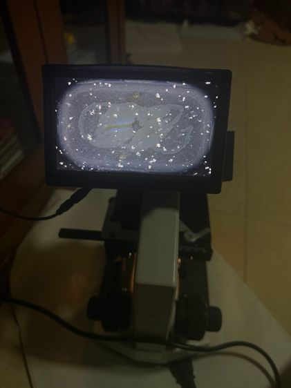 กล้องจุลทรรศน์ microscope รูปที่ 7