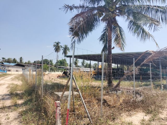 ใช่ 📌ที่ดินถนนพรประภานิมิตร📌ใกล้สยามคันที่คลับ📌เหมาะทำบ้านสวน📌ล้อมรั้วแล้ว📌ด้านหลังติดลำห้วย✅ถูกมากราคานี้ รูปที่ 4