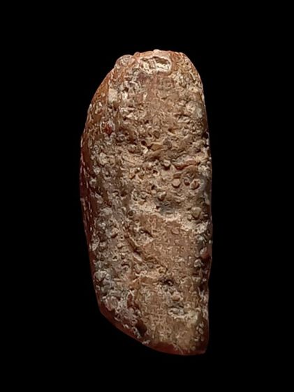 พระนางพญาค่ะ รูปที่ 5