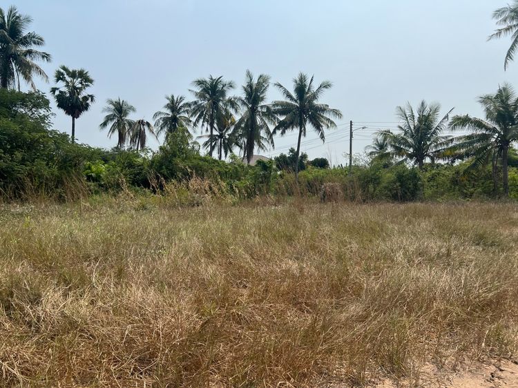 ที่ดินถมแล้ว 410 ตรว อำเภอเมือง จังหวัดสุพรรณบุรี ราคา 2.2 ล้านบาท รูปที่ 4