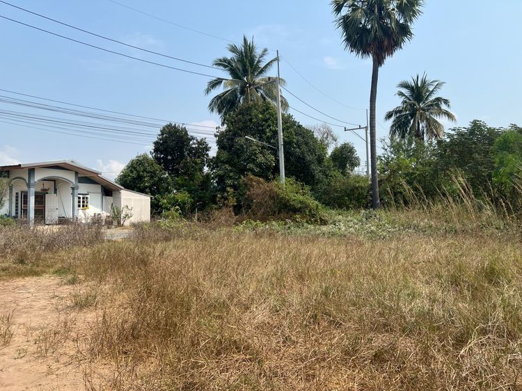 ที่ดินถมแล้ว 410 ตรว อำเภอเมือง จังหวัดสุพรรณบุรี ราคา 2.2 ล้านบาท รูปที่ 3