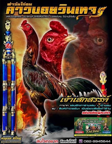 แม่พันธุ์ VIP ลูกสาวเจ้าเสกสรรค์ค่าตัว 1 m รูปที่ 3