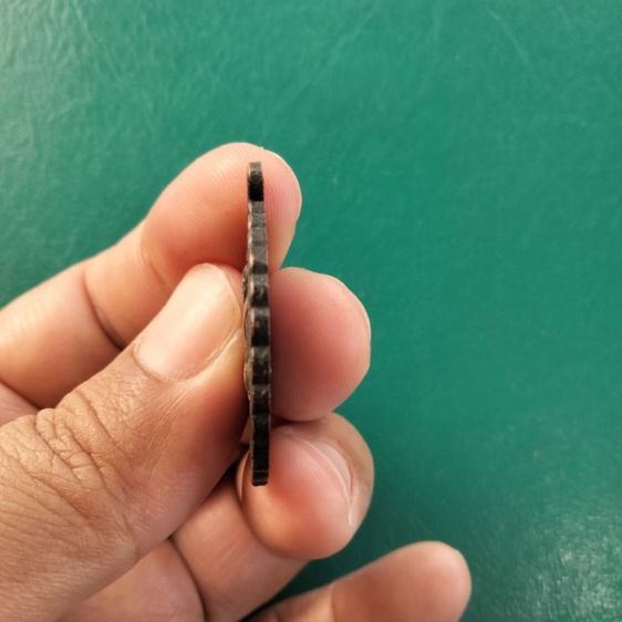 หลวงปู่สวนรุ่นสัจจะบารมี รูปที่ 3