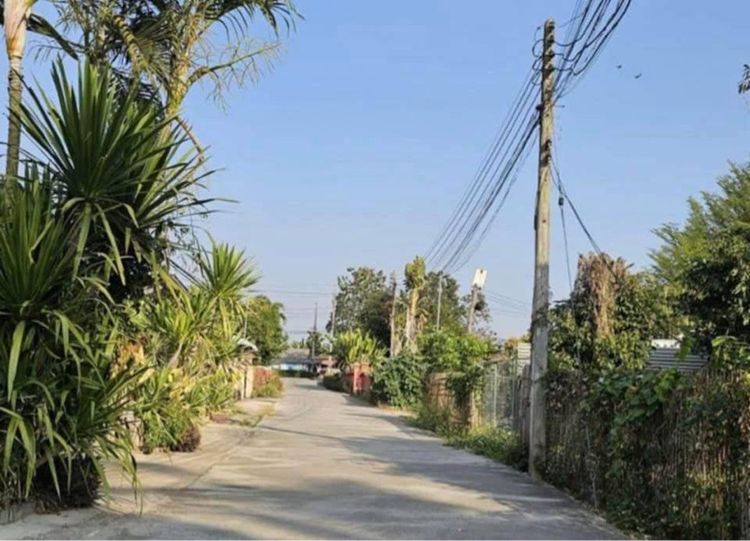 ใช่ ที่ดิน92 ตร.ว. ใกล้โรงพยาบาลสันทรายเชียงใหม่ รูปที่ 3