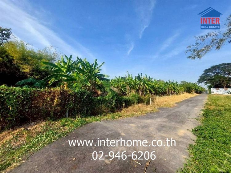 ที่ดินเปล่า 1200 ตร.ว. ที่ดิน ซอยนวลจันทร์56 (ซอยโพธิ์สุวรรณ) ถนนนวลจันทร์ ถนนประดิษฐ์มนูธรรม เขตบึงกุ่ม กรุงเทพมหานคร รูปที่ 3