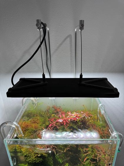 ตู้ปลาพร้อมเลี้ยง รูปที่ 4