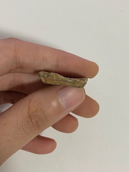 พระเครื่องโบราณไม่ทราบที่มา รูปที่ 6