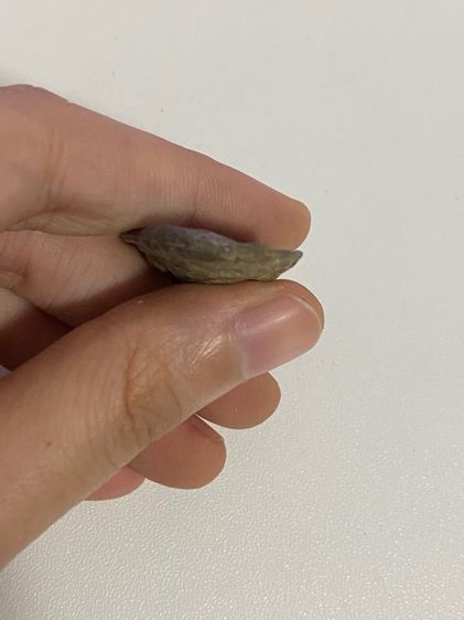 พระเครื่องโบราณไม่ทราบที่มา รูปที่ 6