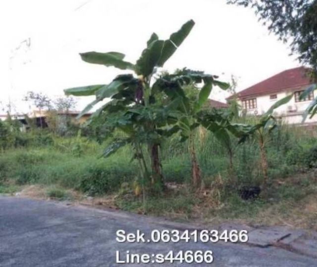 ใช่ ที่ดินแปลงมุมนวมินทร์ 88 รูปที่ 2