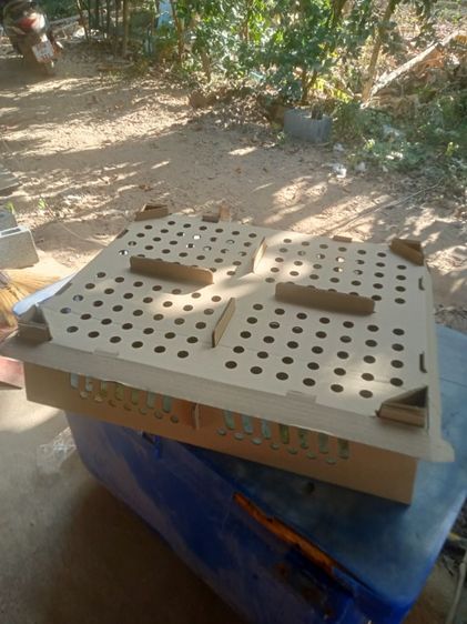 กล่องลูกไก่ ลังกระดาษใส่ลูกเป็ด ลูกไก่ นกกระทา มือสอง สภาพเหมือนใหม่ใช้งานครั้งเดียว รูปที่ 4