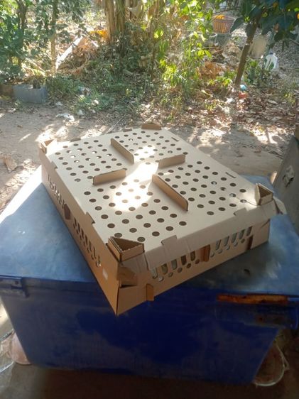 กล่องลูกไก่ ลังกระดาษใส่ลูกเป็ด ลูกไก่ นกกระทา มือสอง สภาพเหมือนใหม่ใช้งานครั้งเดียว รูปที่ 3