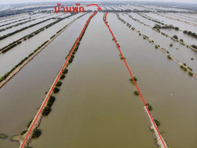 ขายที่บ่อกุ้ง หอย 35 ไร่ สมุทรปราการ