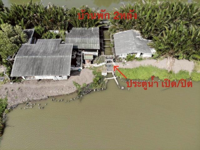 ใช่ ขายที่บ่อกุ้ง หอย 35 ไร่ สมุทรปราการ รูปที่ 4