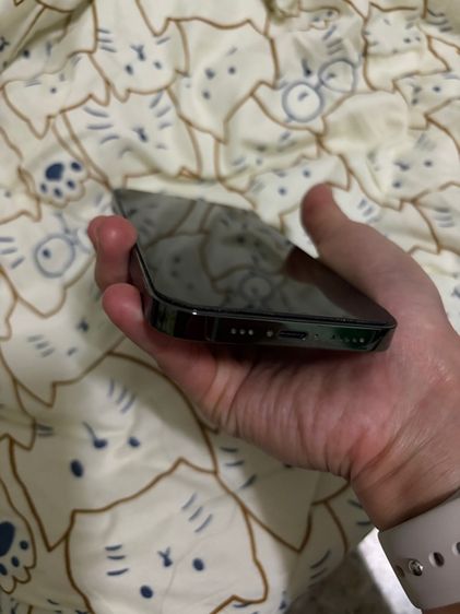 ไอโฟน 13 Pro รูปที่ 4