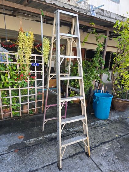 บันไดอลูมิเนียม7ขั้น ยาว2.10เมตร รูปที่ 4