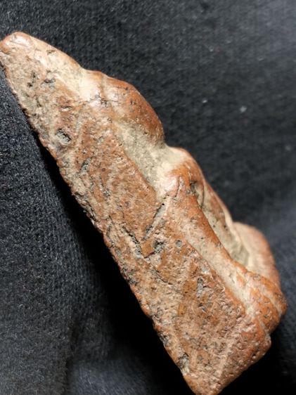 นางพญาเนื้อดินพิษณุโลกครับ รูปที่ 16