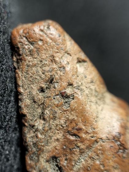 นางพญาเนื้อดินพิษณุโลกครับ รูปที่ 11