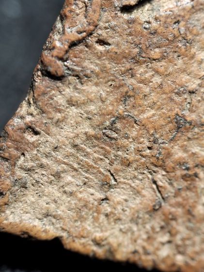 นางพญาเนื้อดินพิษณุโลกครับ รูปที่ 18