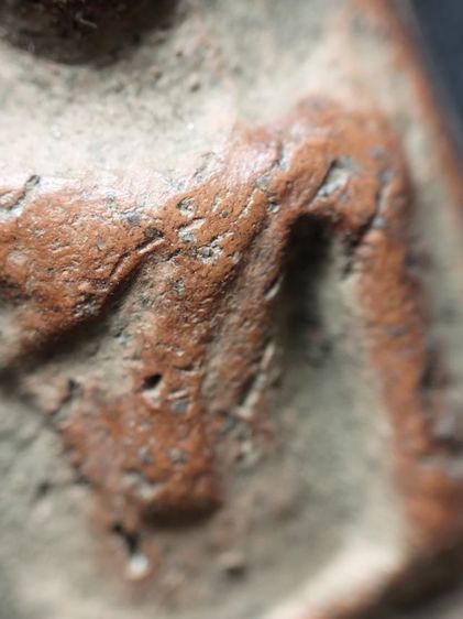 นางพญาเนื้อดินพิษณุโลกครับ รูปที่ 6