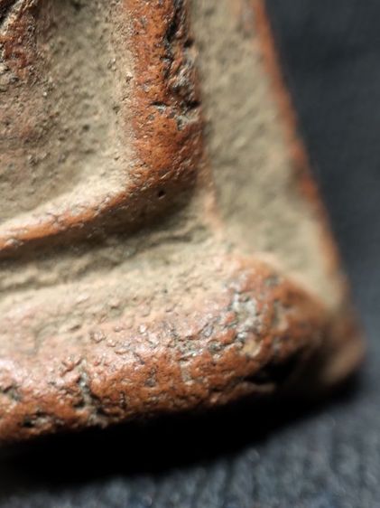 นางพญาเนื้อดินพิษณุโลกครับ รูปที่ 8