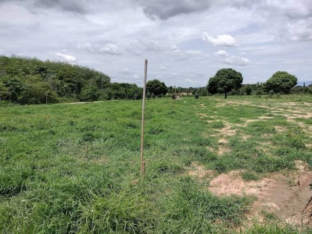 ใช่ ขายที่ดินชลบุรี🚩ใกล้ค่ายบชร.11พท.200ตรว.ติดถนน2ด้าน🚩ใกล้สวนอาหารฟินิกซ์ก่อนถึงค่ายบชร.11 รูปที่ 3