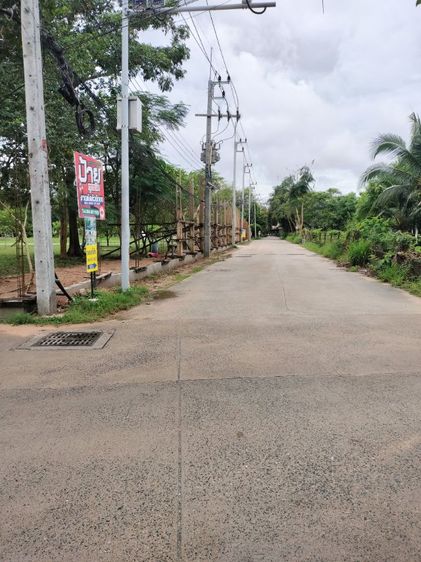 ใช่ ที่ดินในโครงการพร้อมสร้างบ้าน100ตรว.พัทยา รูปที่ 2