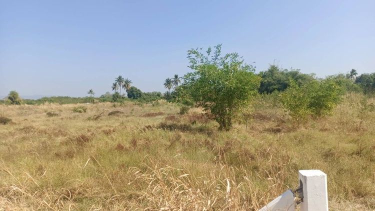 ใช่ ลพบุรีโคกสำโรงที่ดินแบ่งล๊อกๆละ1ไร่200ตรว.🚩ราคาเหมาเพียง5แสนเท่านั้น📌ตรงข้ามวิทยาลัยเทคนิคโคกสำโรง🚩ฝั่งตรงข้ามซอยเป็นโรงงานผลิตแผงโซล่า รูปที่ 2