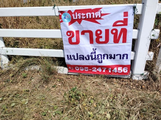 ใช่ ลพบุรีโคกสำโรงที่ดินแบ่งล๊อกๆละ1ไร่200ตรว.🚩ราคาเหมาเพียง5แสนเท่านั้น📌ตรงข้ามวิทยาลัยเทคนิคโคกสำโรง🚩ฝั่งตรงข้ามซอยเป็นโรงงานผลิตแผงโซล่า รูปที่ 4