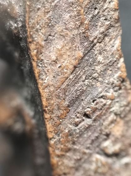 พระผงสุพรรณเนื้อดินครับ รูปที่ 13