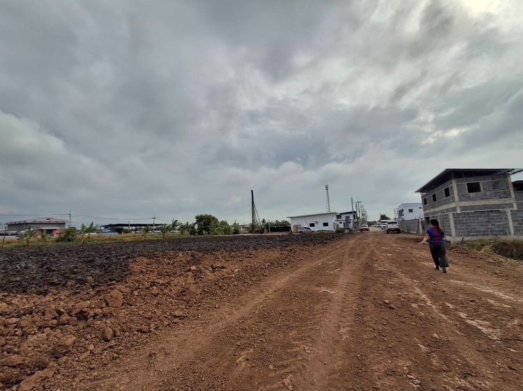 ที่ดิน รูปที่ 3