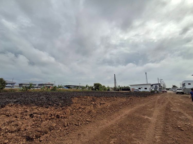 ที่ดิน รูปที่ 2