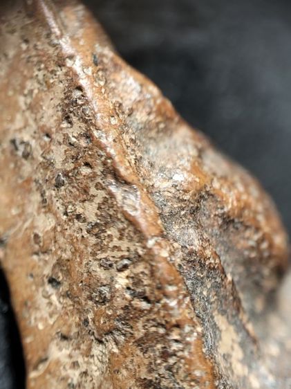 ❌ปิดครับ❌พระนางพญาเนื้อดินพิษณุโลกครับ รูปที่ 12