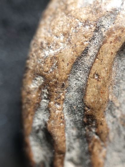 กำแพงซุ้มกอขนมเปี๊ยะครับ รูปที่ 7