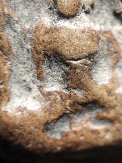 กำแพงซุ้มกอขนมเปี๊ยะครับ รูปที่ 6